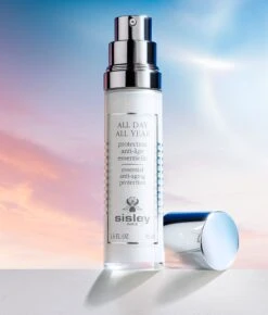 All Day All Year -Caillchante Shop 3473311623508 alt4