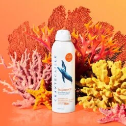 Caillchante Shop -Caillchante Shop 656509713714 alt1