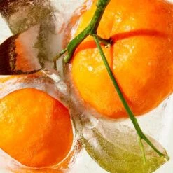 Water-Lock Moisturizer -Caillchante Shop 813269023143 alt5